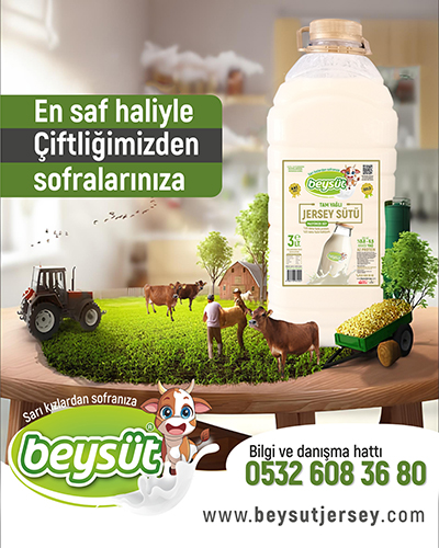 jersey-sut